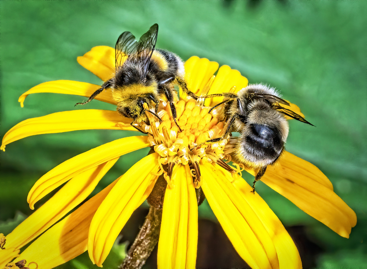 Image #1 from Olli Kumela