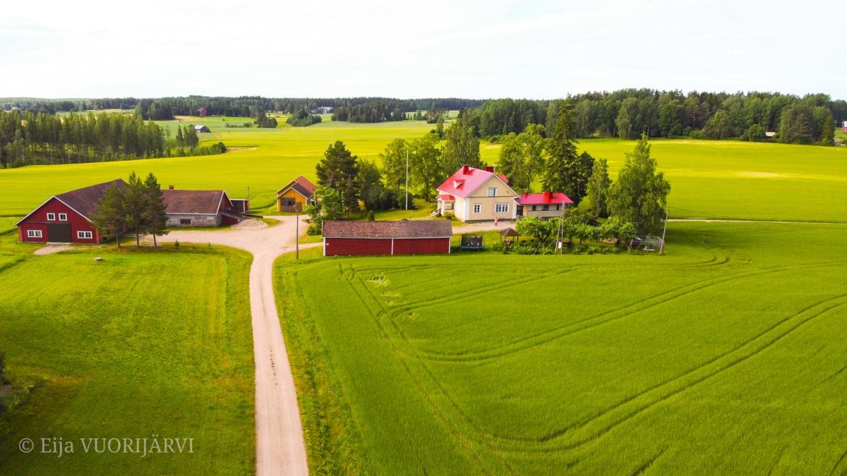 Image #3 from Eija Vuorijärvi