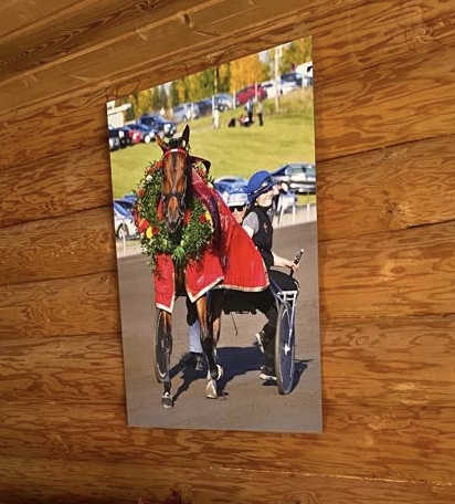 Image #1 from Tiina T