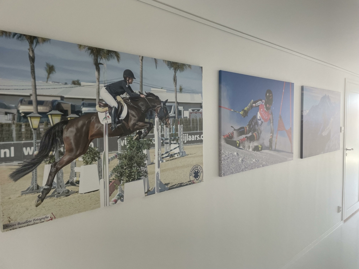 Image #1 from Satu Elina Kukkonen