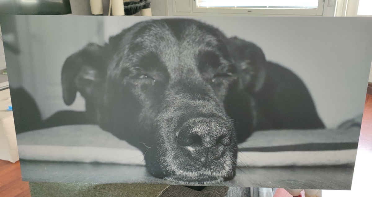 Image #1 from Toni Mäkelä