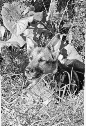 Image #1 from Francesca Schach