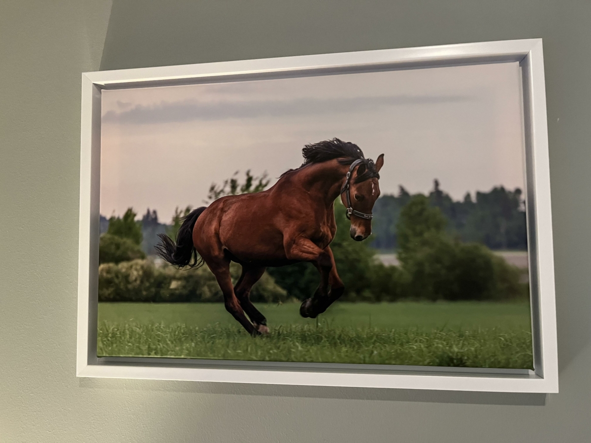 Image #2 from Minna Laukkanen