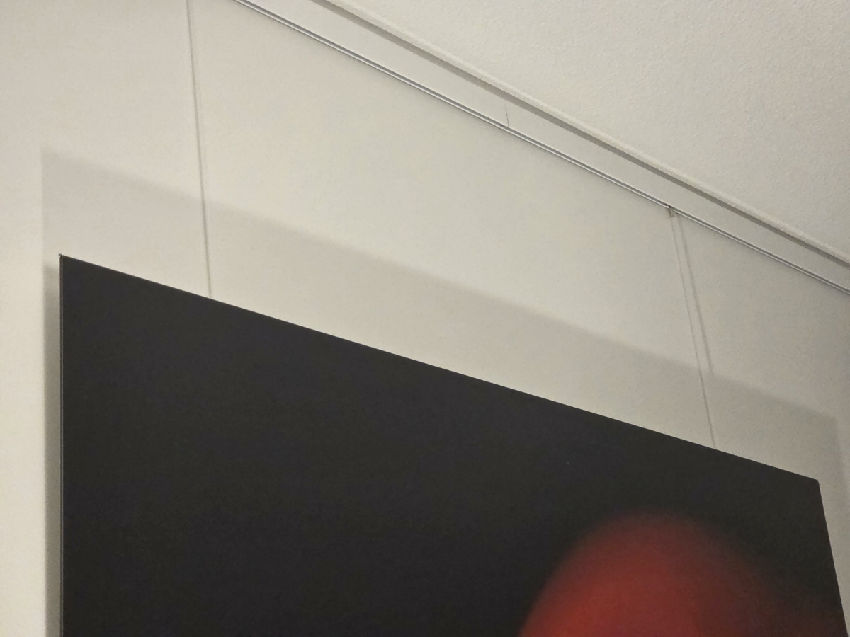 Image #1 from Sari Mastromarino