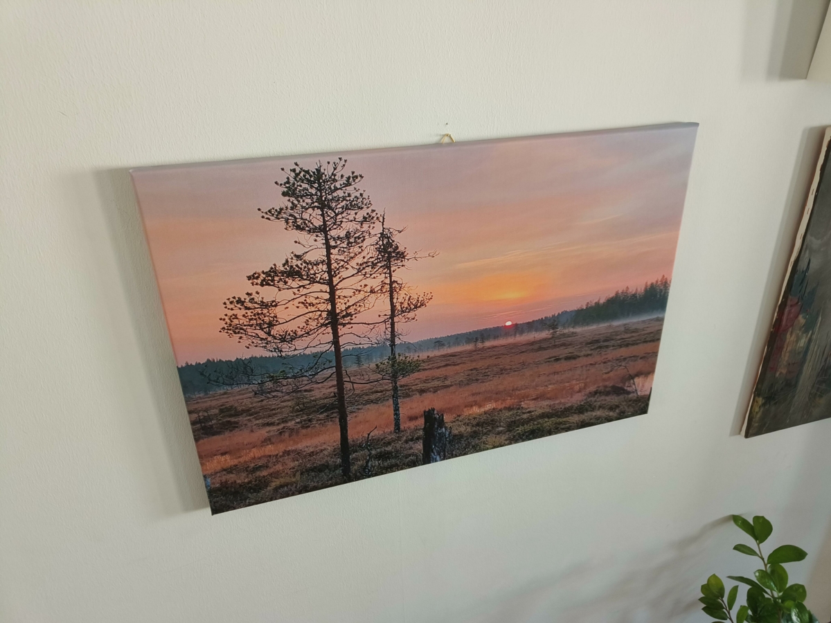 Image #1 from Jani Stolt