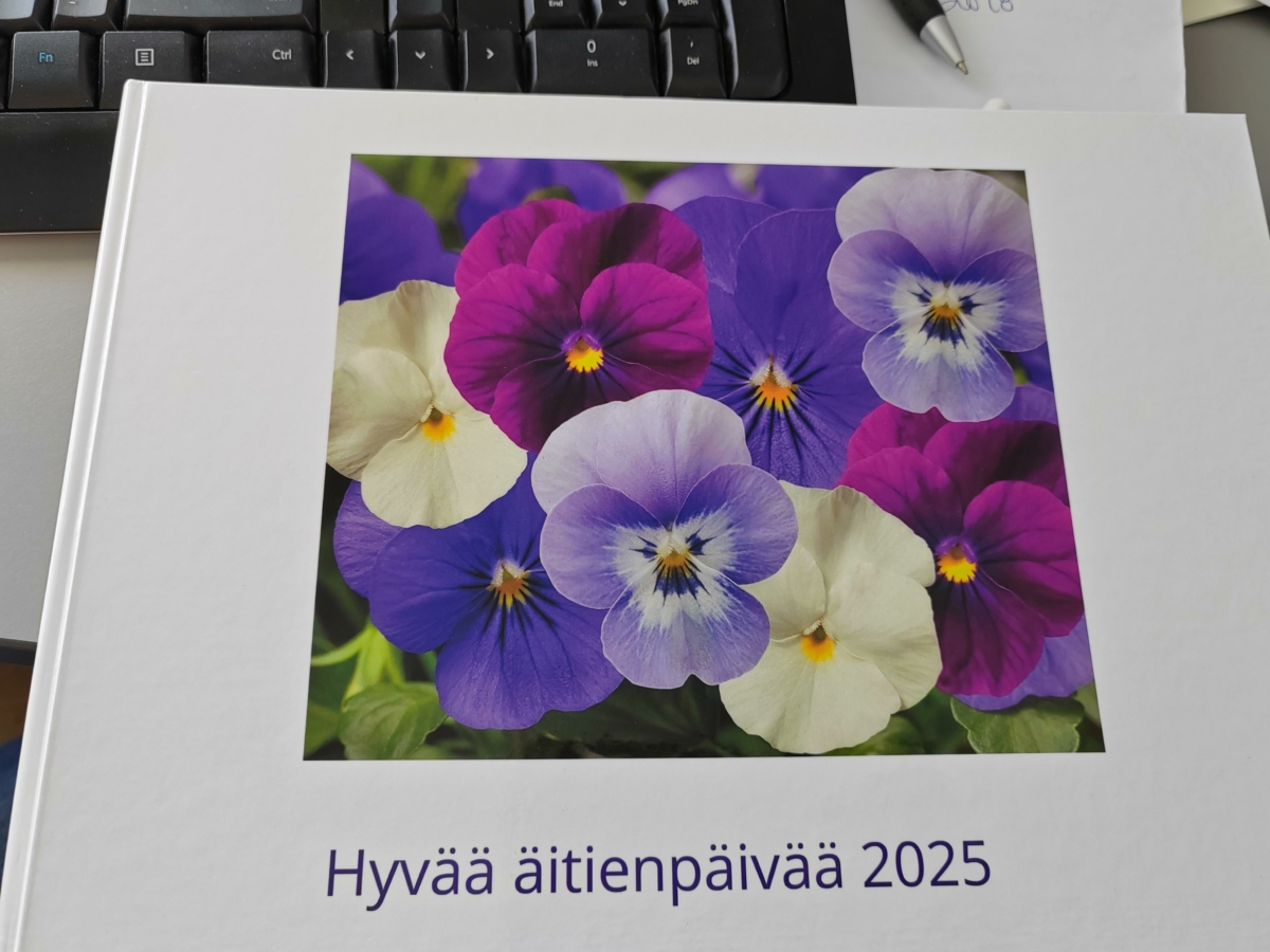 Image #1 from Sari Luomalahti