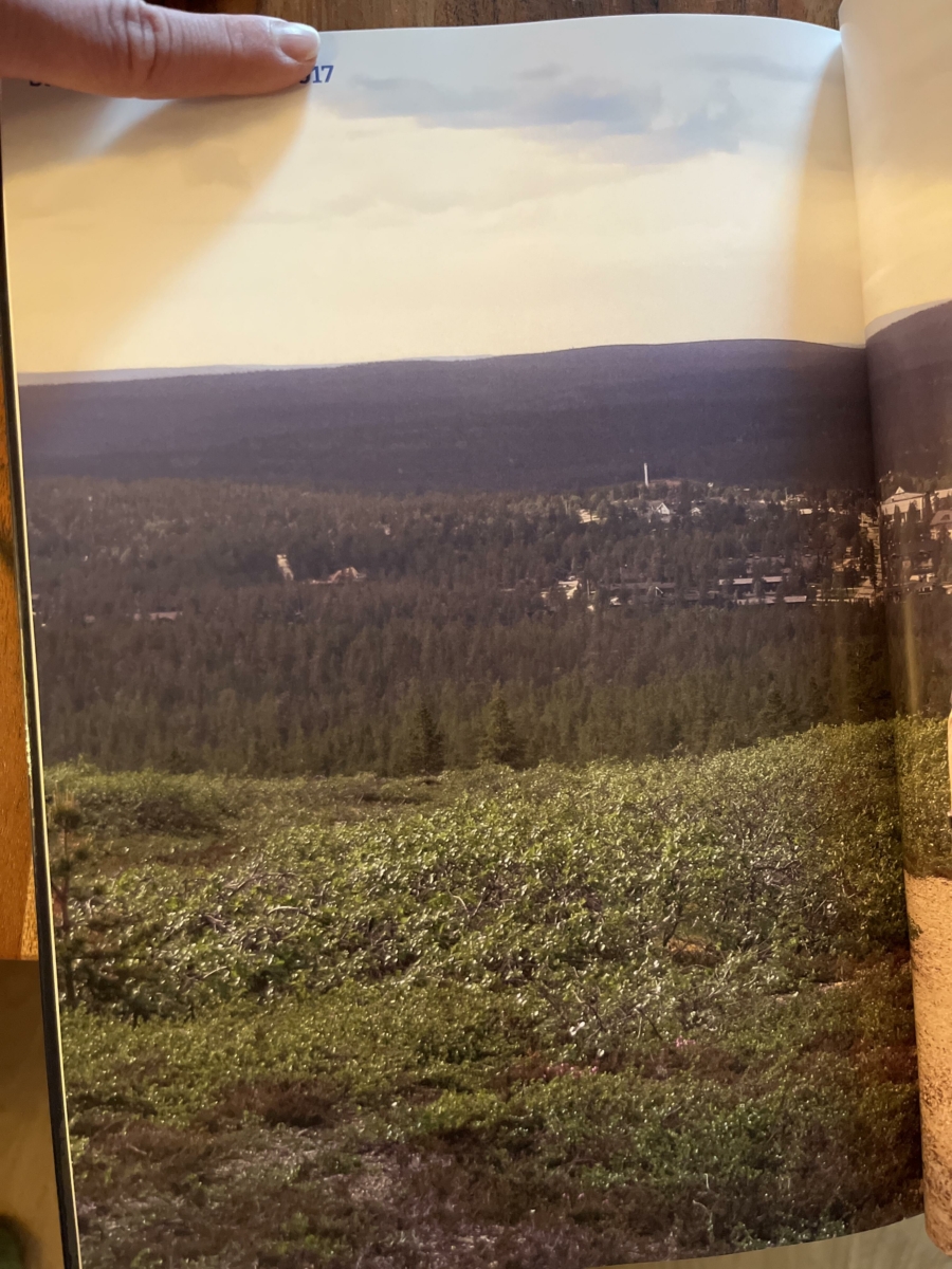 Image #1 from Mirjam Siikaluoma